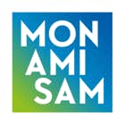 la forme et le fond Réalisation Logo Mon Ami Sam