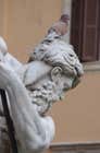 la forme et le fond Travaux Photographiques Pigeon sur une statue à Rome IMGP1434